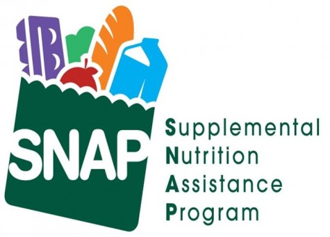 disaster supplemental nutrition assistance program d snap